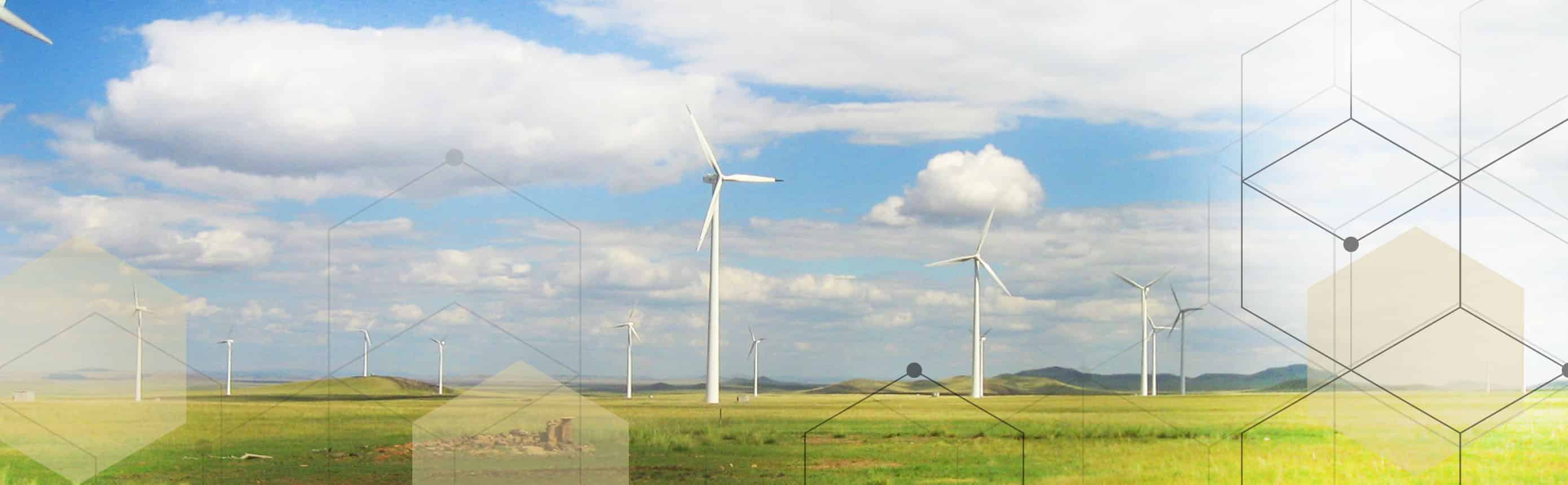 Carbon Neutral