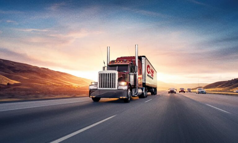 National vs. Regional Shipping Networks: Pros, Cons and Strategy
