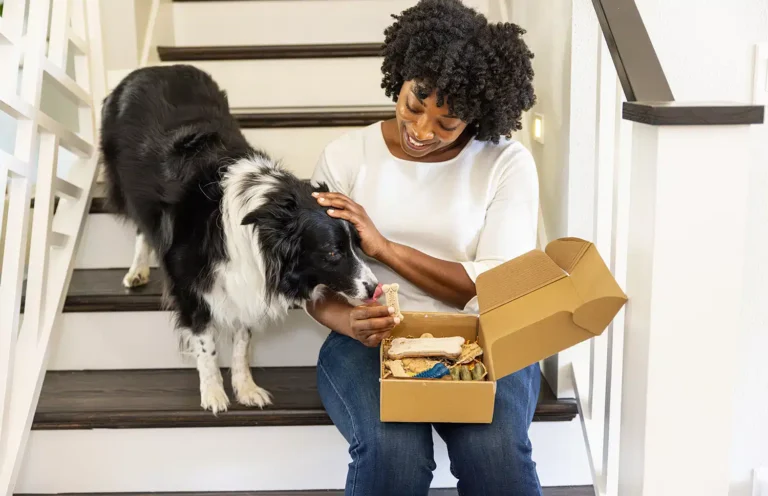 Find the Perfect Subscription Box Shipping Partner
